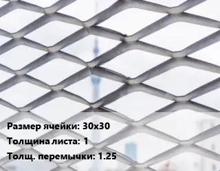 Сетка ЦПВС 30х30 s=1 1.25
